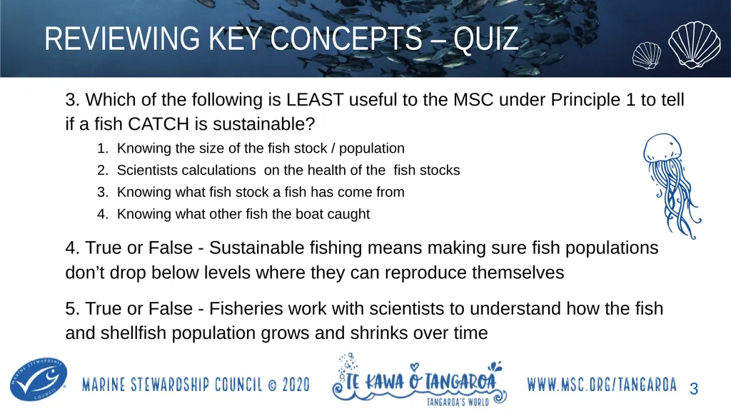 MAHI / ACTIVITY In small groups, create your own - slide 3 of 11