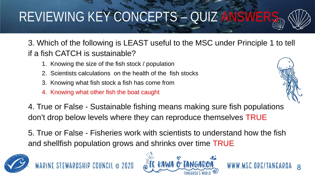 MAHI / ACTIVITY In small groups, create your own - slide 8 of 11