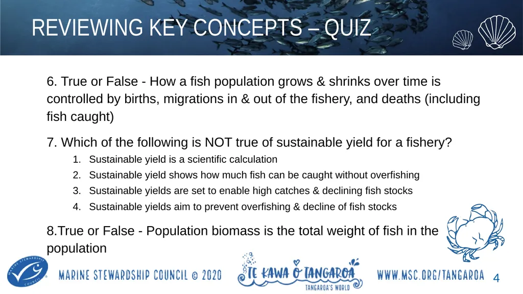 MAHI / ACTIVITY In small groups, create your own - slide 4 of 11