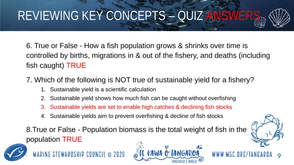 MAHI / ACTIVITY In small groups, create your own - slide 9 of 11