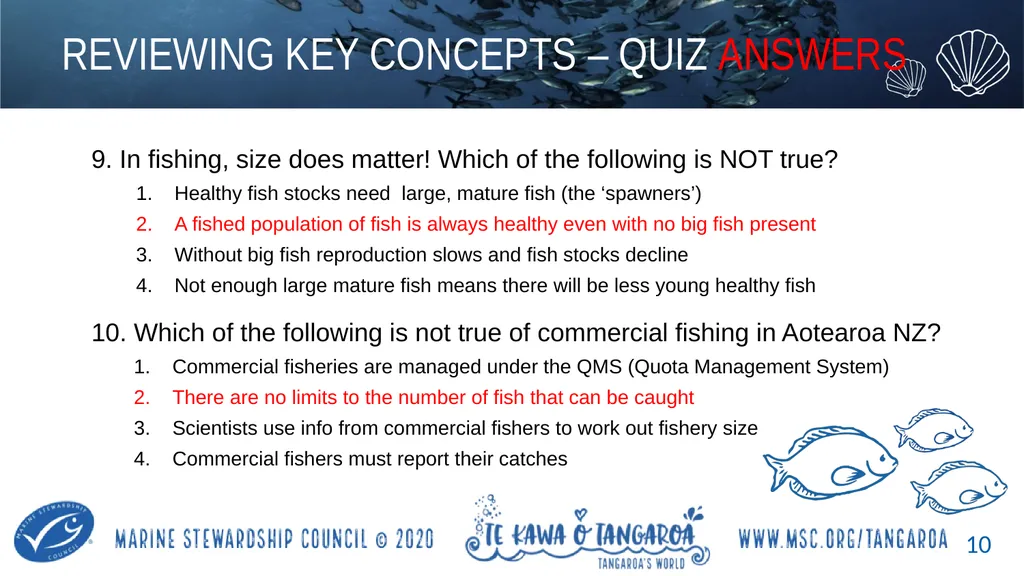 MAHI / ACTIVITY In small groups, create your own - slide 10 of 11