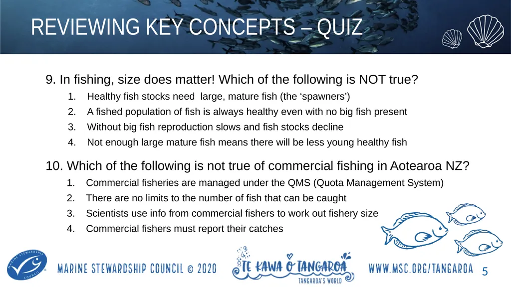 MAHI / ACTIVITY In small groups, create your own - slide 5 of 11