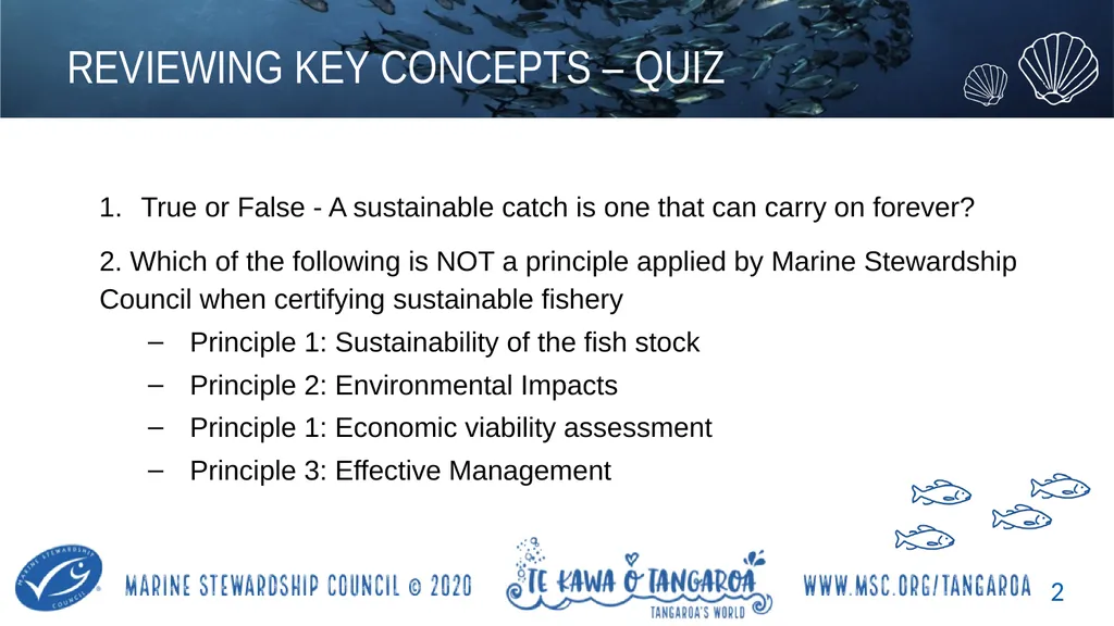 MAHI / ACTIVITY In small groups, create your own - slide 2 of 11