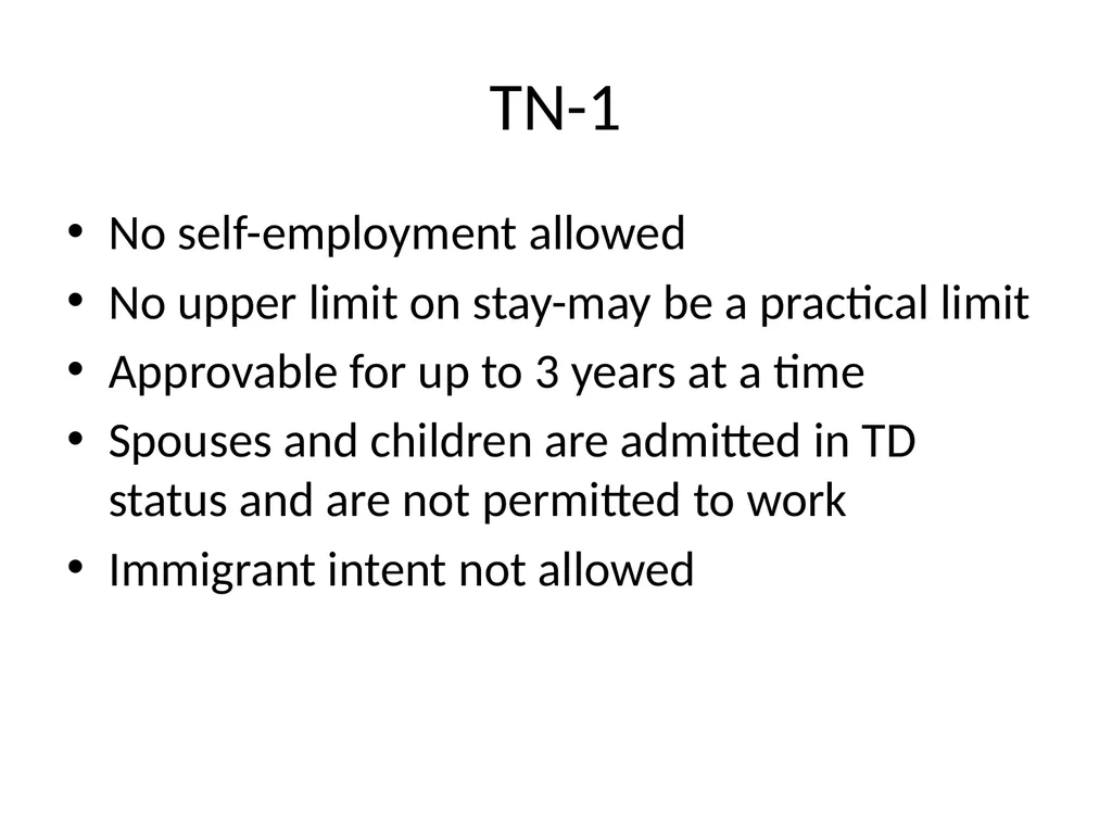 Visa Options for Artists and Professional Workers: - slide 38 of 71