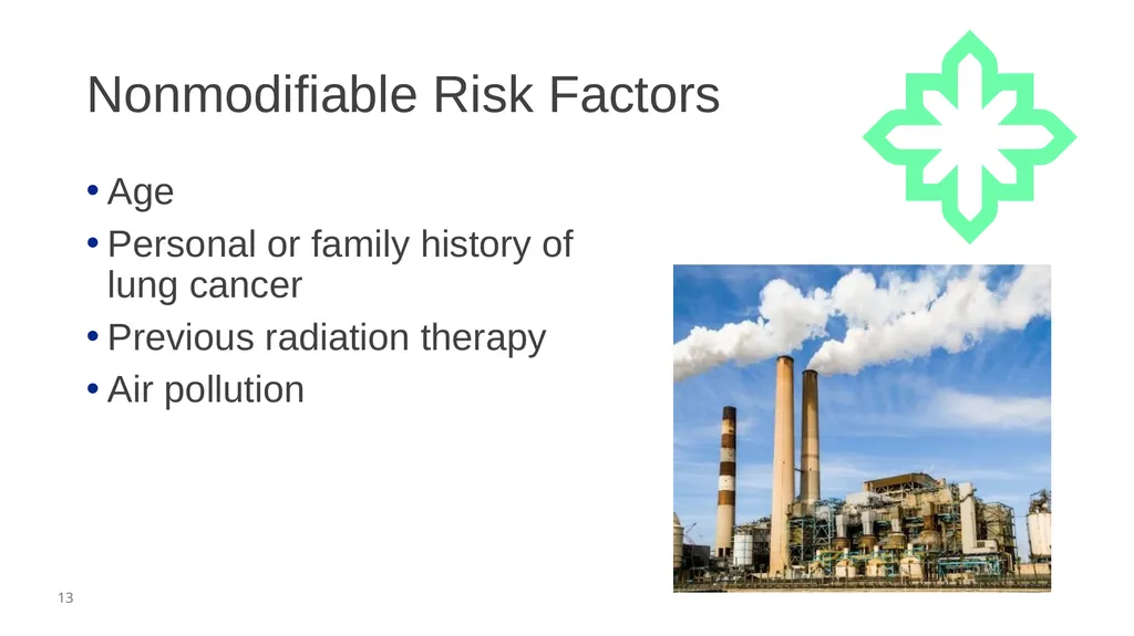 Audio Information The presenter started speaking - slide 13 of 39