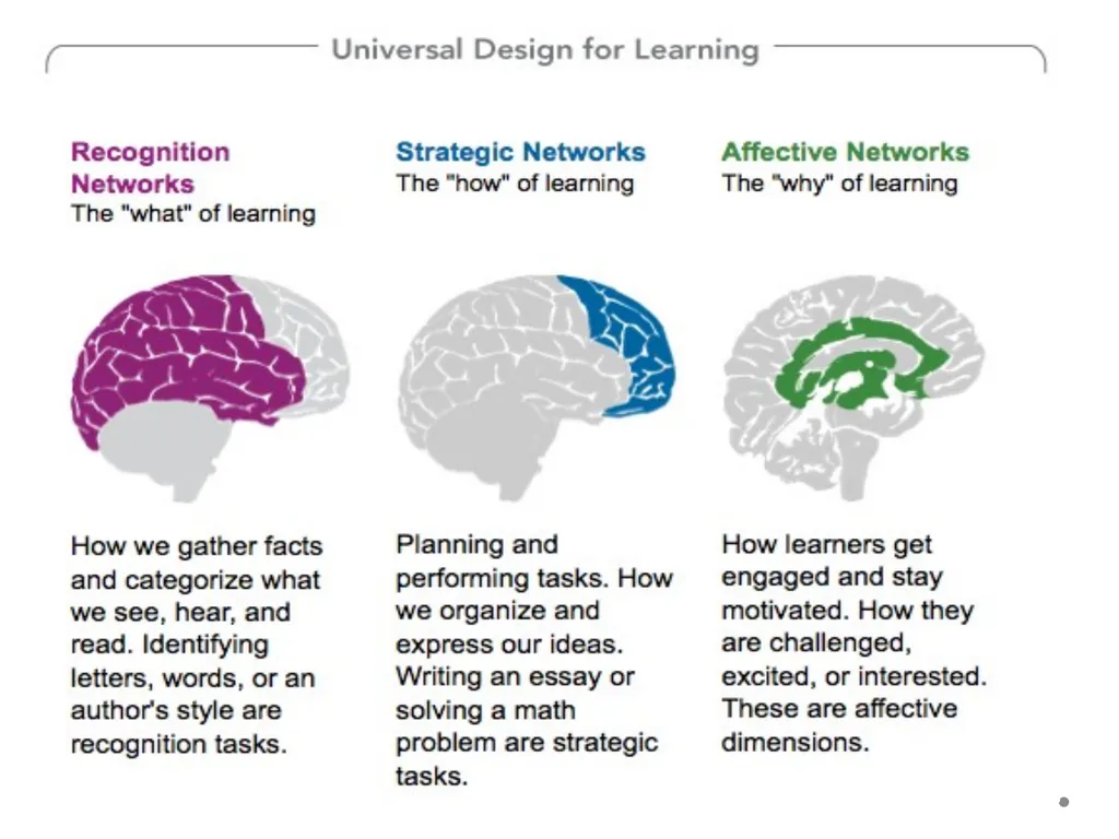 Differentiated Instruction Beginning Teacher - slide 16 of 24