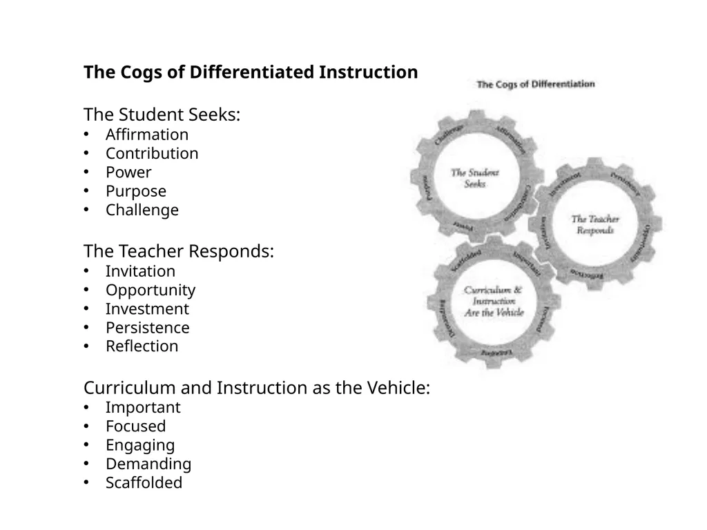 Differentiated Instruction Beginning Teacher - slide 13 of 24