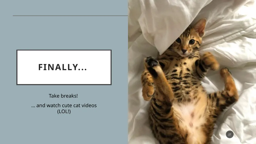 FLM 280: Exam Review Overview Holy smokes, it’s - slide 27 of 27