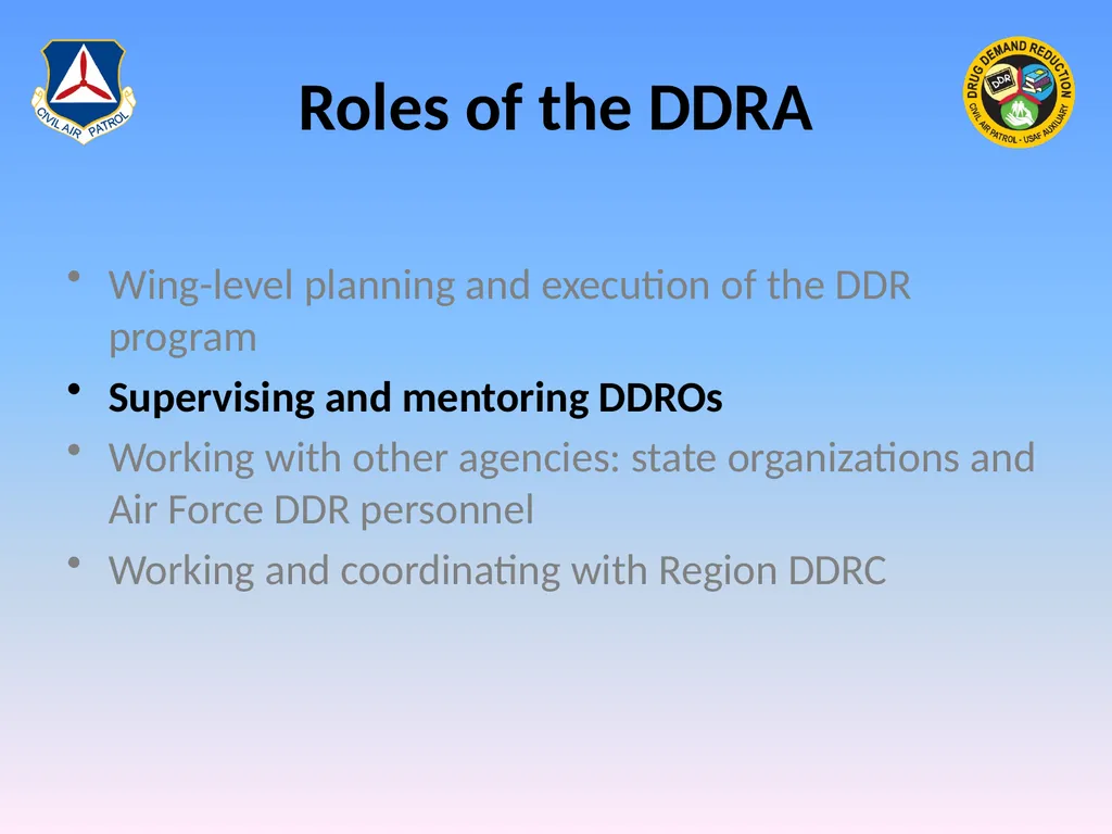 Drug Demand Reduction Administrator (DDRA) - slide 14 of 28