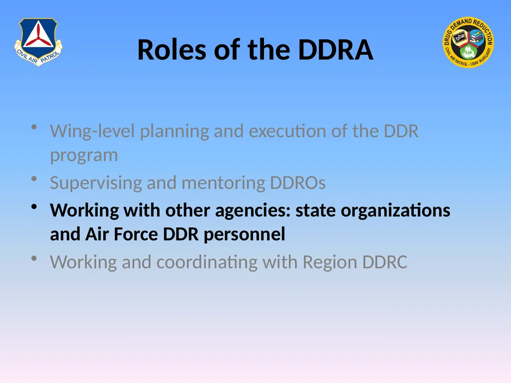 Drug Demand Reduction Administrator (DDRA) - slide 21 of 28