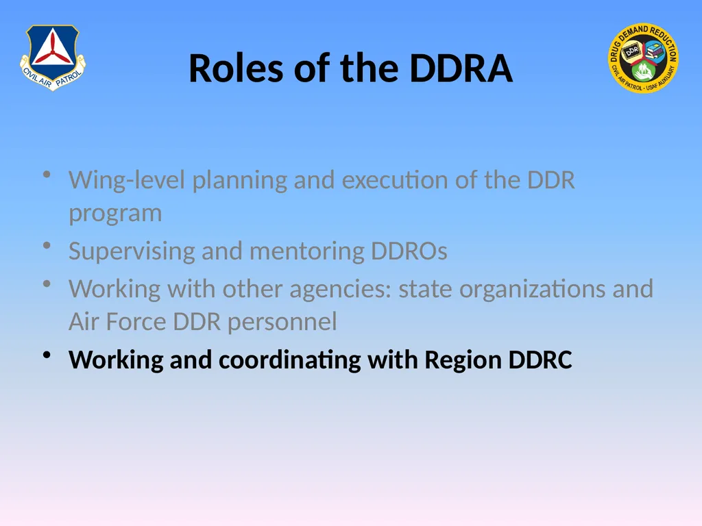 Drug Demand Reduction Administrator (DDRA) - slide 23 of 28