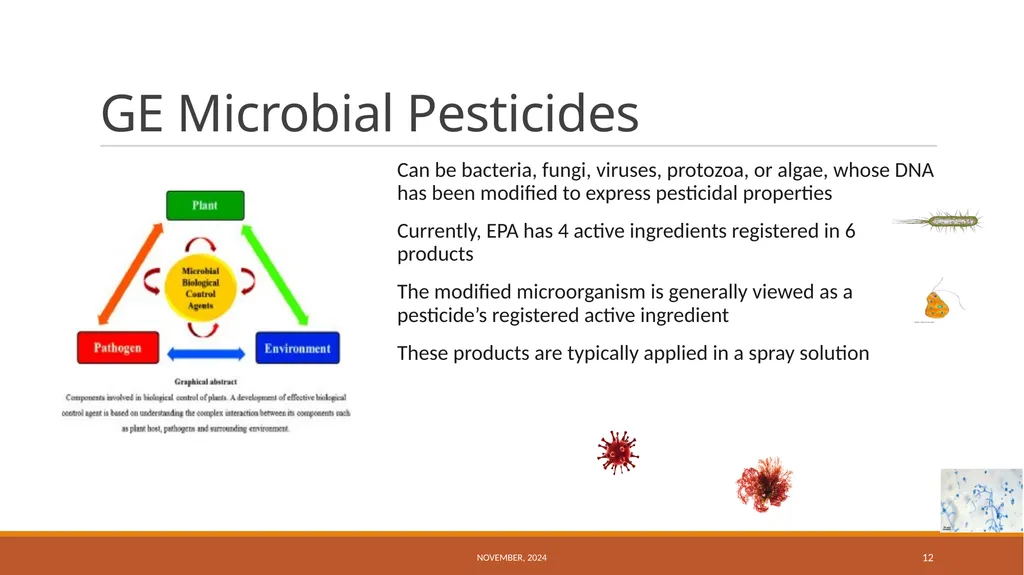US Regulation of Biocontrol Products November, - slide 12 of 17