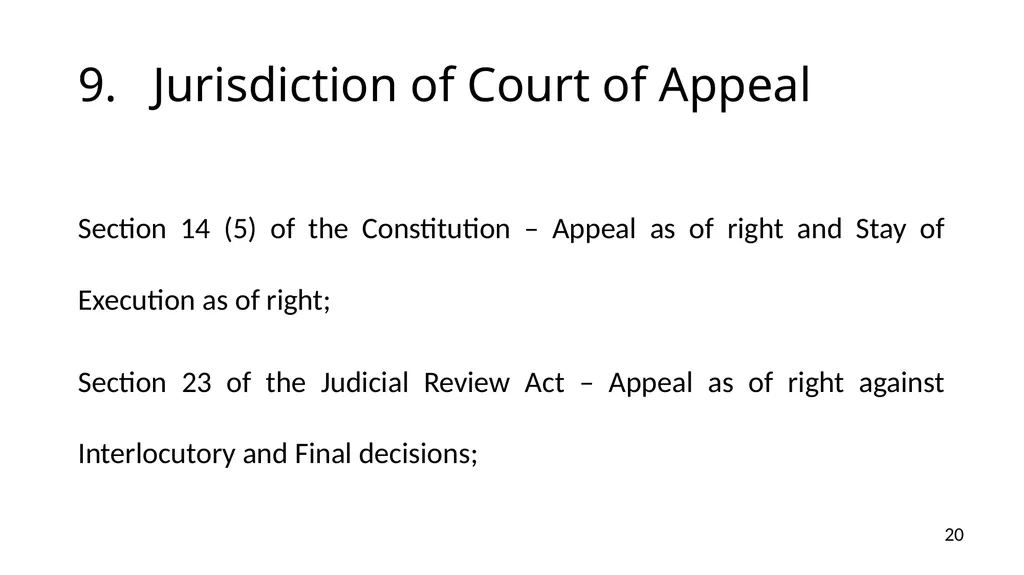 NOTICES OF APPEALS & GROUNDS OF APPEALS IAN L. - slide 20 of 60