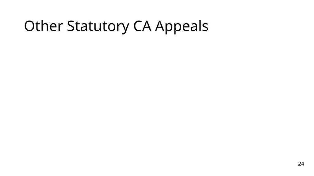 NOTICES OF APPEALS & GROUNDS OF APPEALS IAN L. - slide 24 of 60