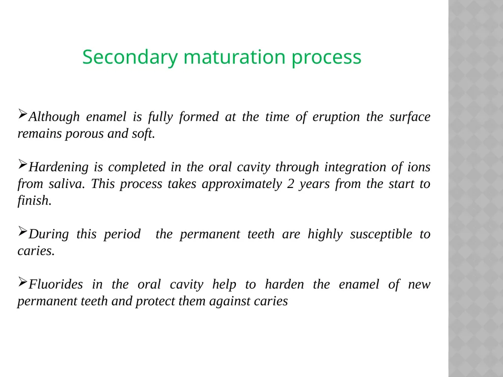 YOUNG PERMANENT TEETH Definition Permanent teeth - slide 13 of 30