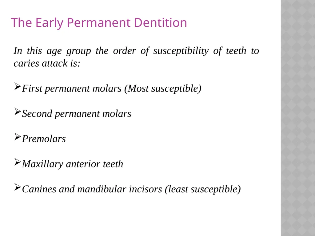 YOUNG PERMANENT TEETH Definition Permanent teeth - slide 11 of 30