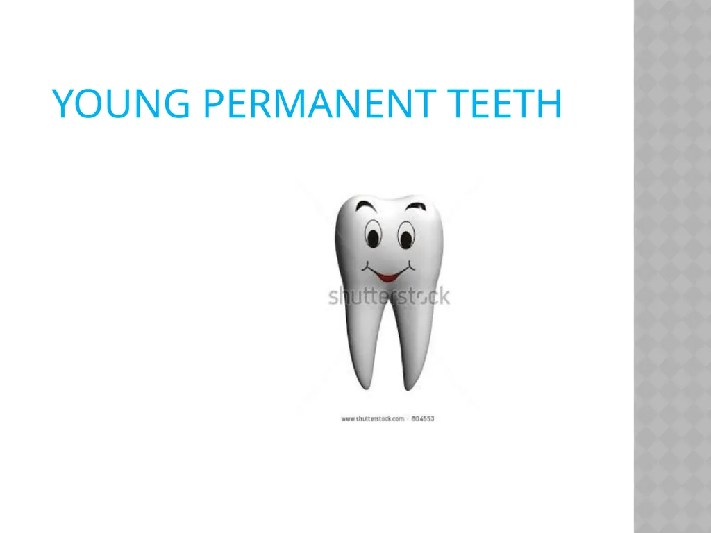 YOUNG PERMANENT TEETH Definition Permanent teeth - slide 2 of 30