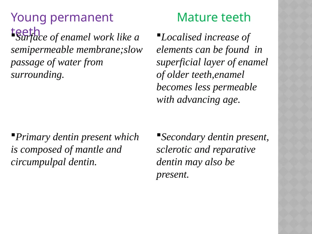 YOUNG PERMANENT TEETH Definition Permanent teeth - slide 5 of 30