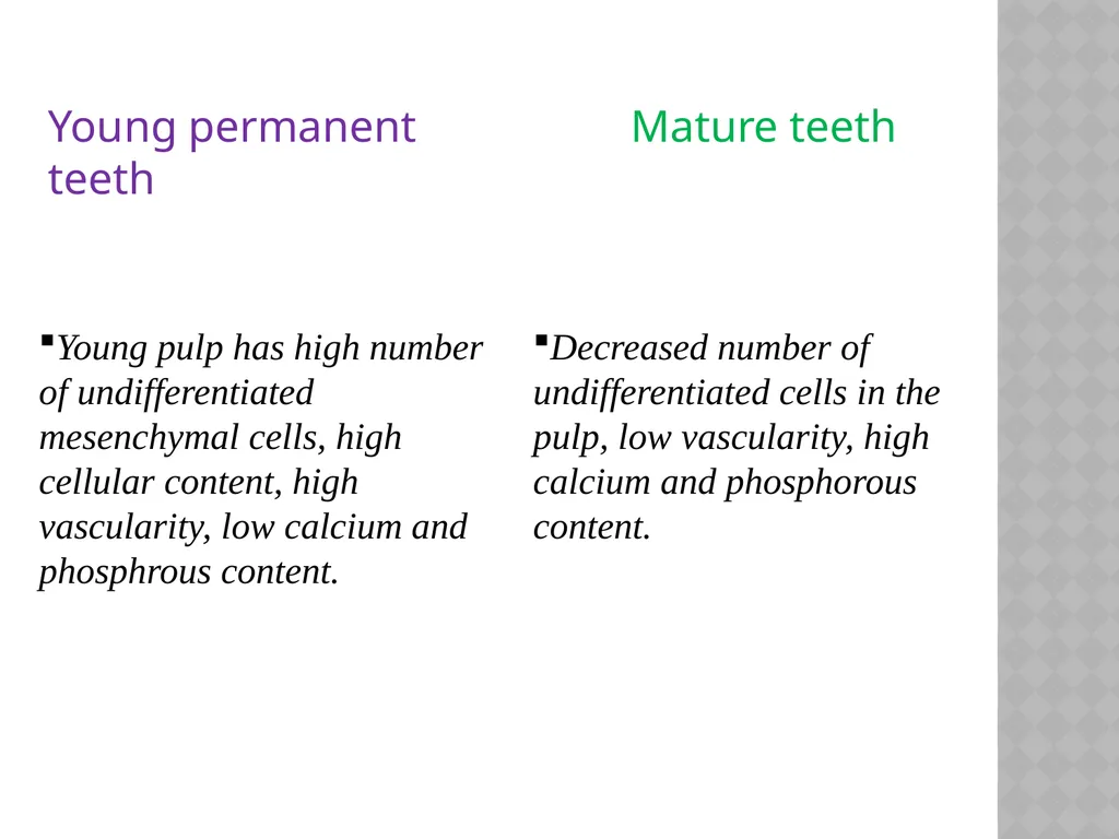 YOUNG PERMANENT TEETH Definition Permanent teeth - slide 6 of 30