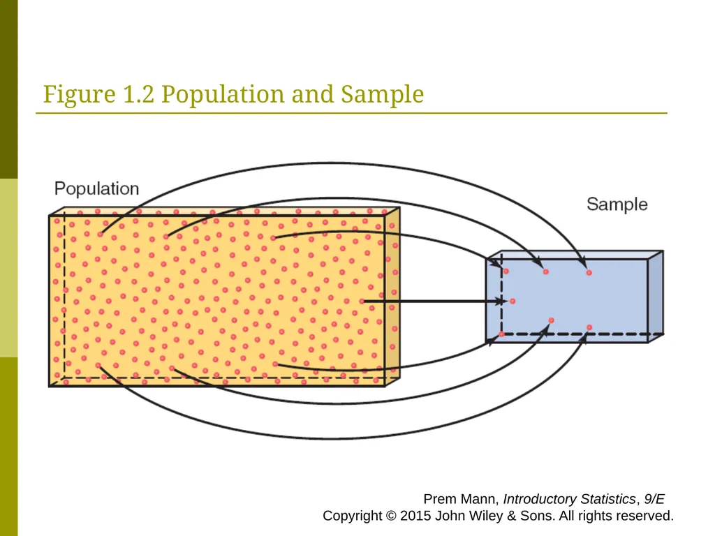 CHAPTER 1 INTRODUCTION Prem Mann, Introductory - slide 24 of 64