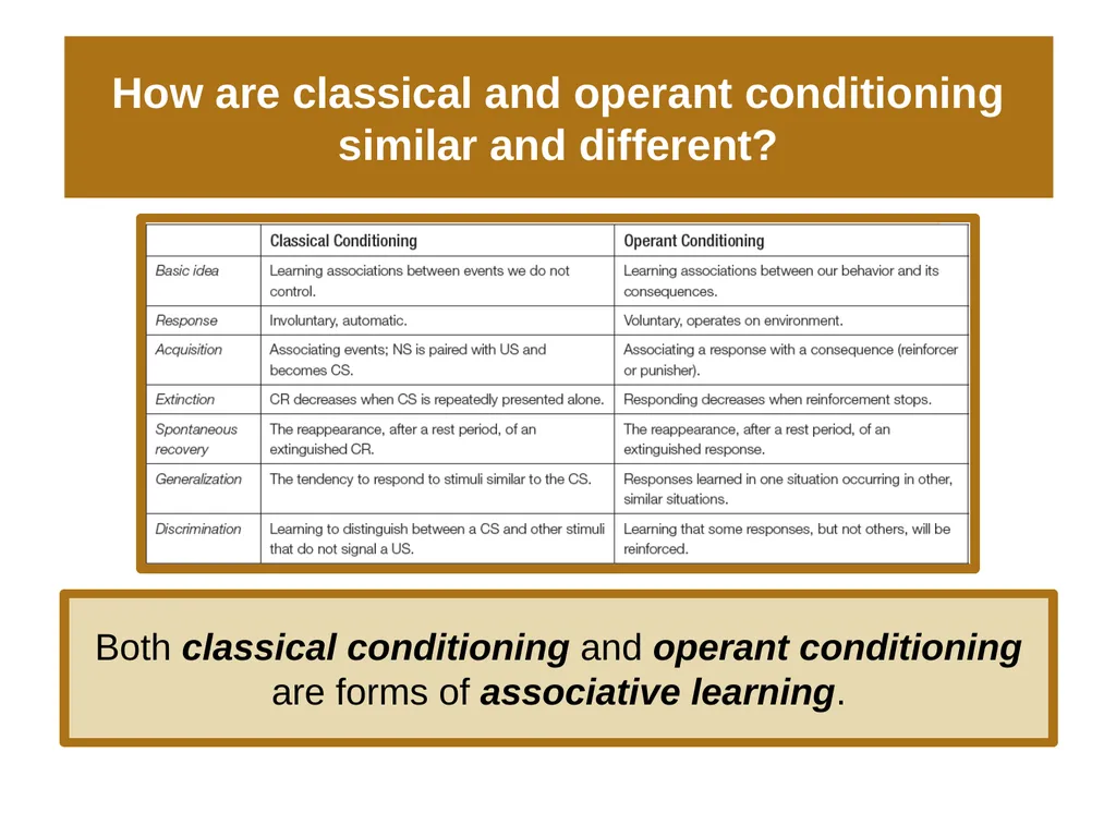 Unit 6 Learning Module 28 Operant Conditioning’s - slide 16 of 19