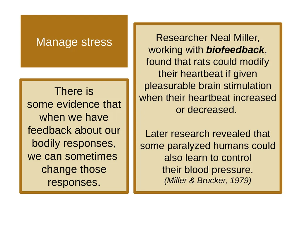 Unit 6 Learning Module 28 Operant Conditioning’s - slide 14 of 19