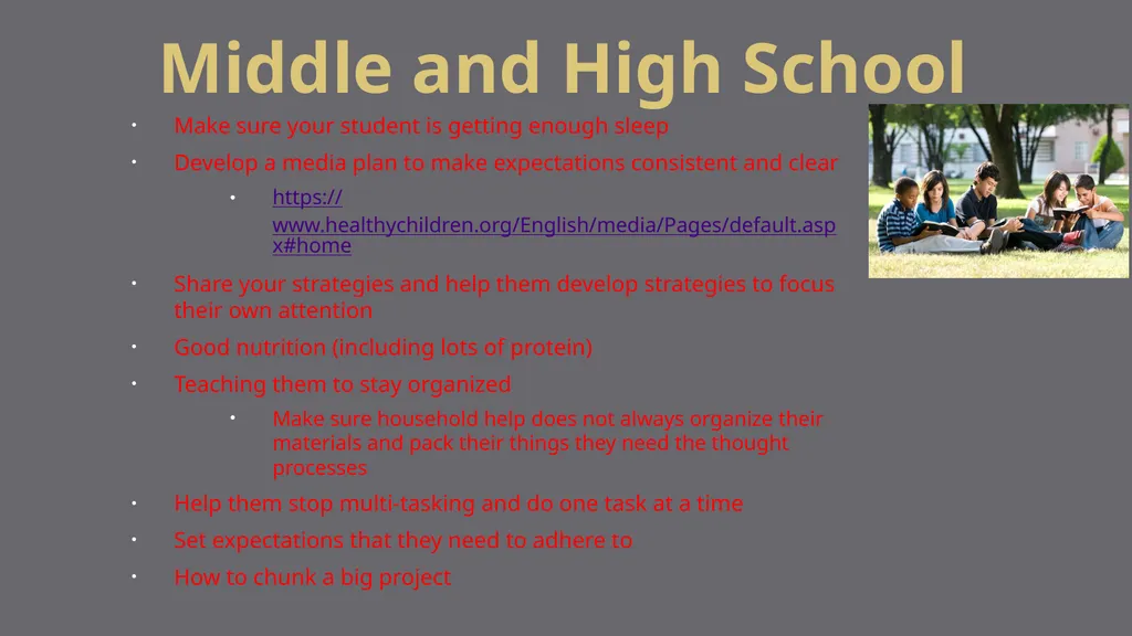Self-Regulation and Concentration How to help our - slide 13 of 22