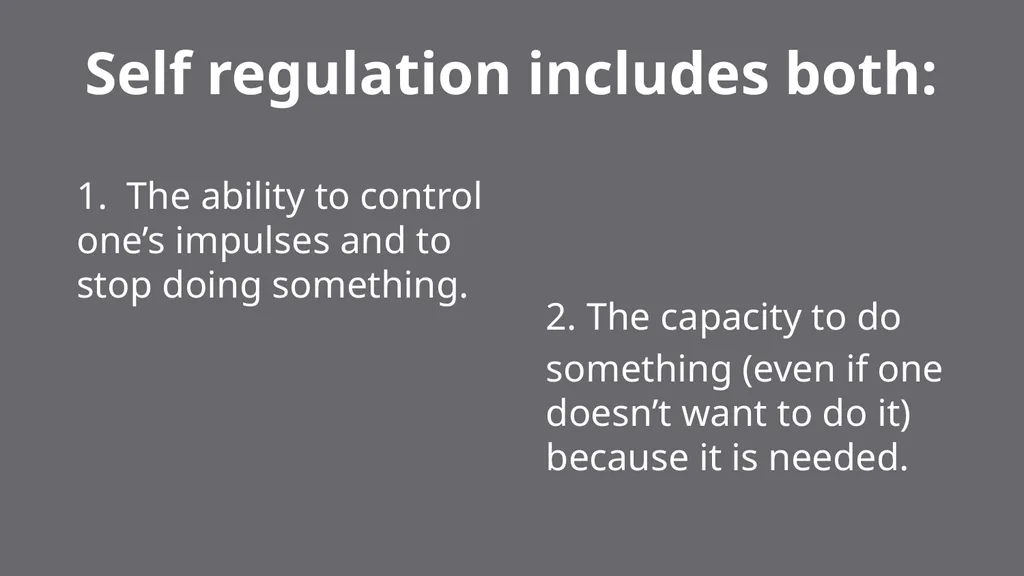 Self-Regulation and Concentration How to help our - slide 4 of 22