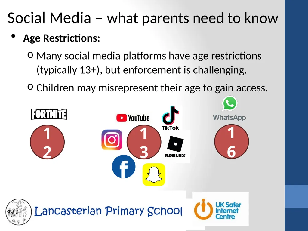 Internet Safety Helping our children stay safe - slide 5 of 10