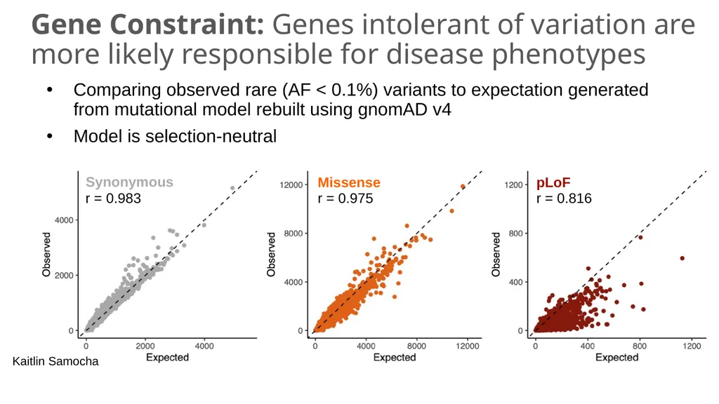 The Genome Aggregation Database (gnomAD) Marina - slide 15 of 32