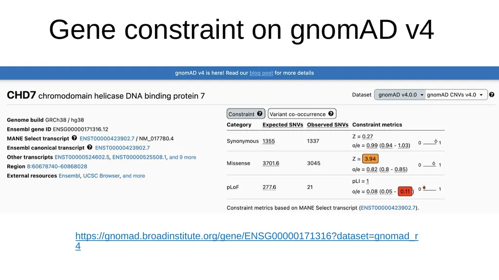 The Genome Aggregation Database (gnomAD) Marina - slide 19 of 32