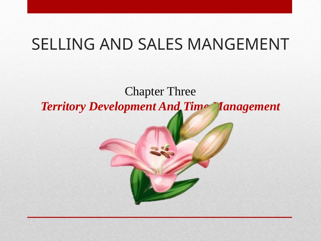 SELLING AND SALES MANGEMENT Chapter Three - slide 1 of 16