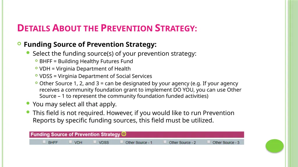Prevention Data Collection Form VAdata: Virginia’s - slide 28 of 33