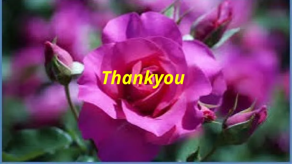 zz Welcome to all Introduce Teacher Lesson Md. - slide 12 of 12