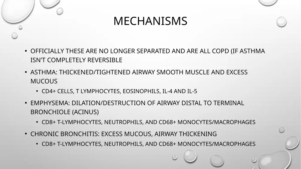 Obstructive and restrictive Lung Disease Jed - slide 17 of 36