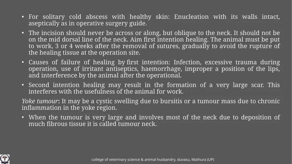 poll evil and other affections of the neck Gulshan - slide 6 of 8