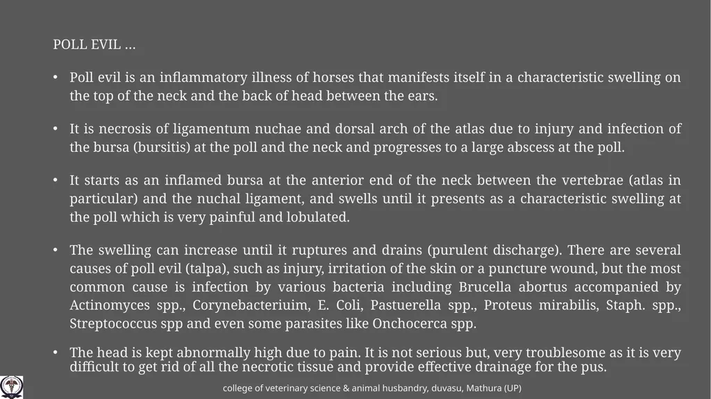 poll evil and other affections of the neck Gulshan - slide 2 of 8