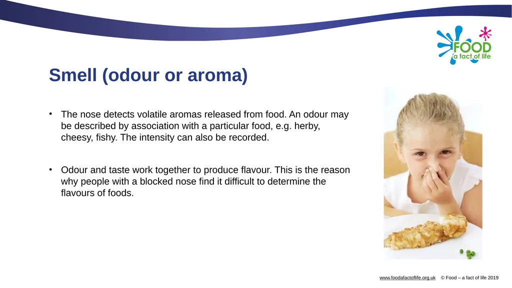 The senses and food Which senses do we use? A - slide 5 of 16
