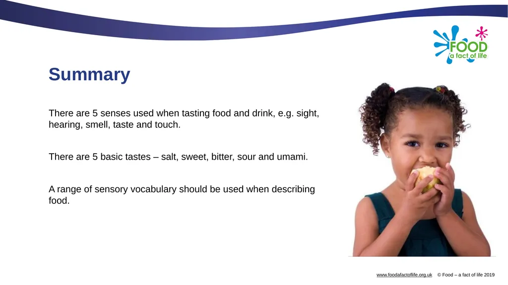 The senses and food Which senses do we use? A - slide 15 of 16