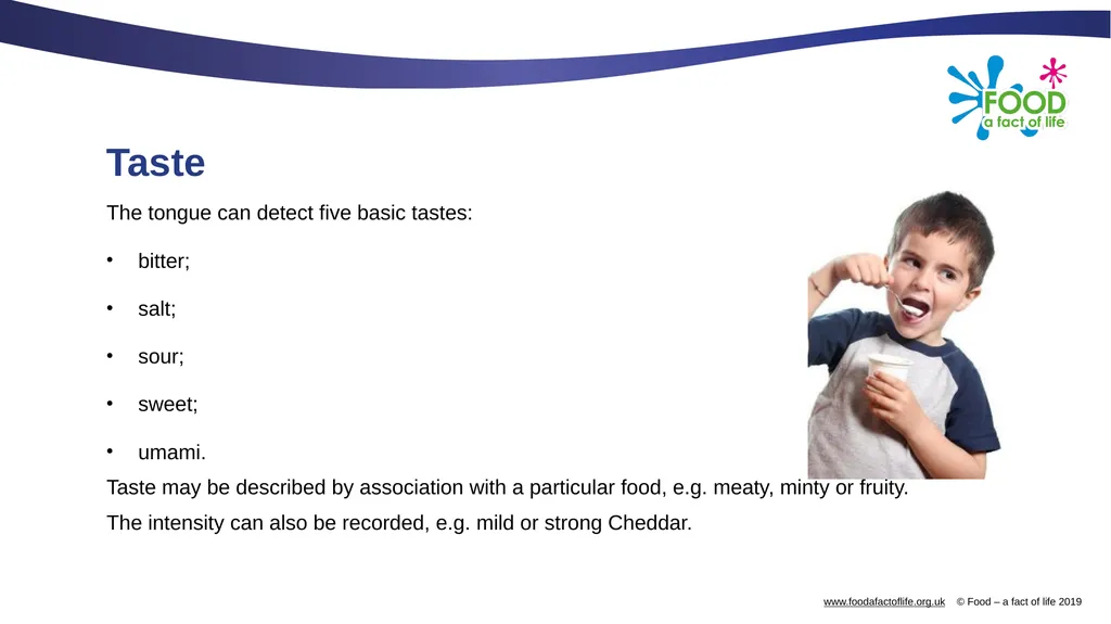The senses and food Which senses do we use? A - slide 8 of 16