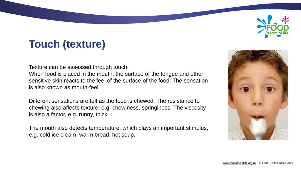 The senses and food Which senses do we use? A - slide 11 of 16