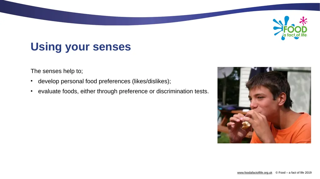 The senses and food Which senses do we use? A - slide 14 of 16