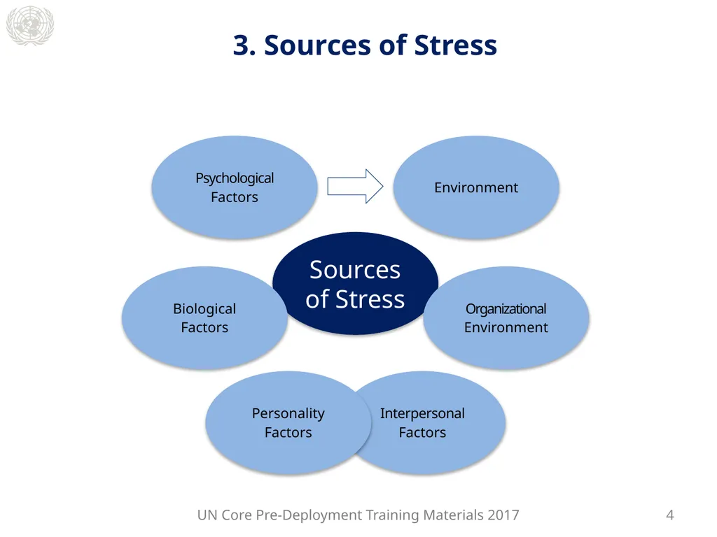 Module 3: Individual Peacekeeping Personnel - slide 9 of 22