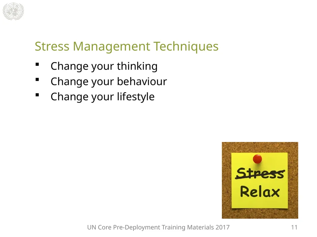 Module 3: Individual Peacekeeping Personnel - slide 17 of 22