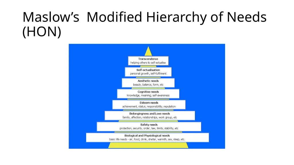 POSITIVE PSYCHOLOGY Applications for Resiliency - slide 9 of 52