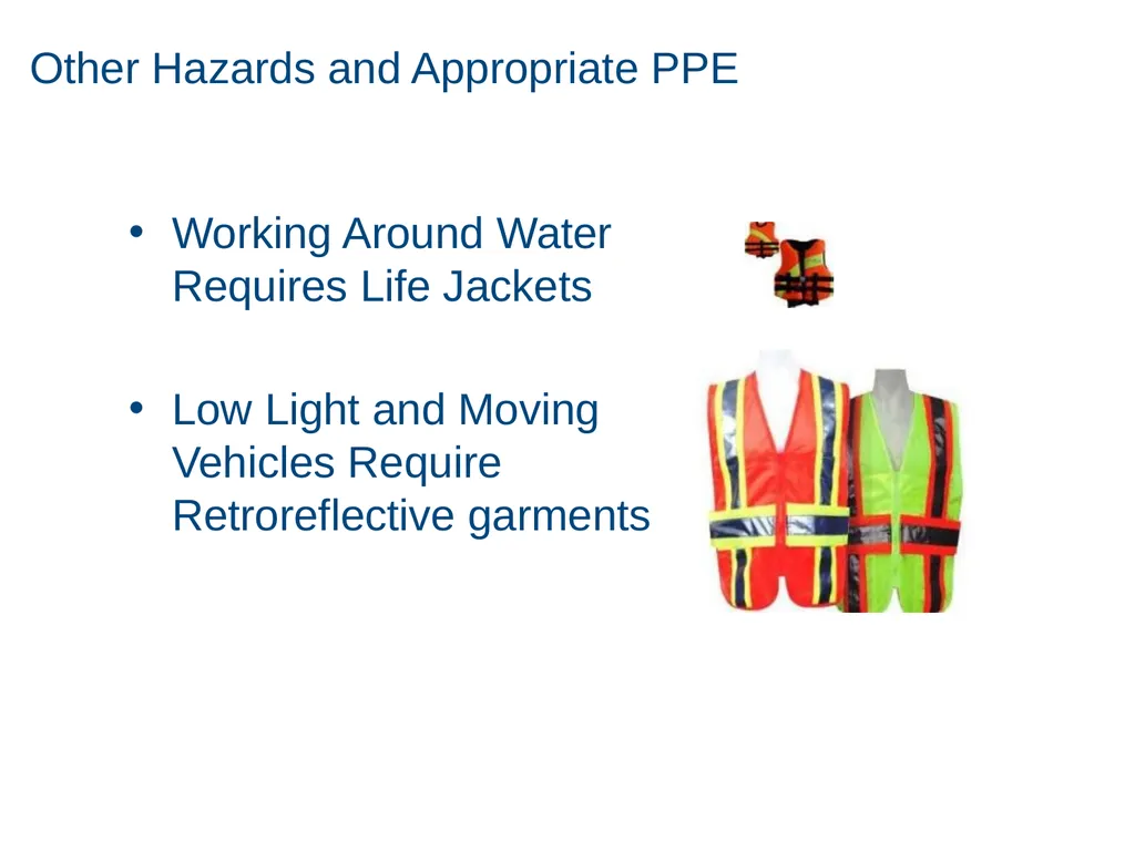 Personal Protective Equipment 1 Disclaimer - slide 58 of 62