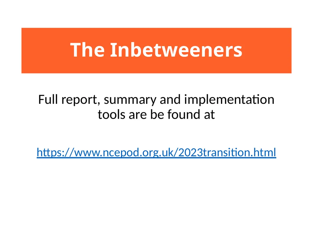 The Inbetweeners Key messages and recommendations - slide 24 of 24