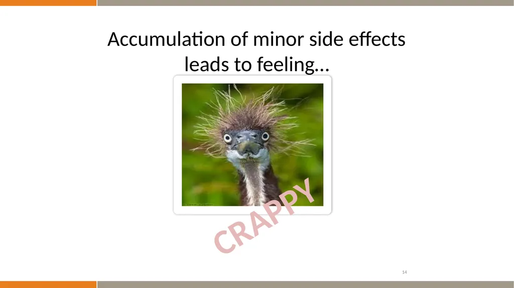 BLCS 1 Overview Slides This is a compilation of - slide 14 of 25