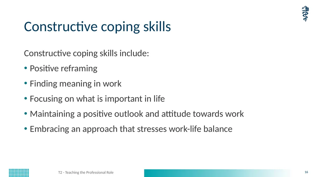 T2 - Teaching the Professional Role CanMEDS - slide 16 of 29