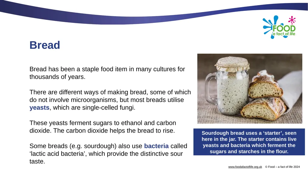 Microorganisms in food production Microorganisms - slide 4 of 14